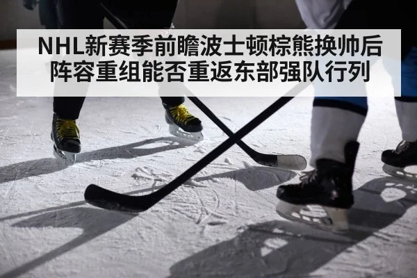NHL新赛季前瞻波士顿棕熊换帅后阵容重组能否重返东部强队行列