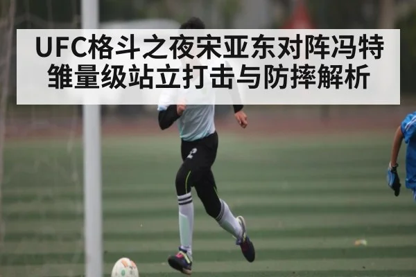 UFC格斗之夜宋亚东对阵冯特 雏量级站立打击与防摔解析