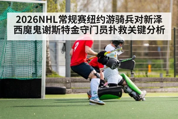 hockey goalie blocking shot